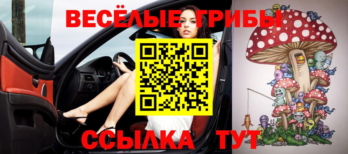 Псилоцибиновые грибы MAGIC MUSHROOMS  Вход с VPN  Подольск 